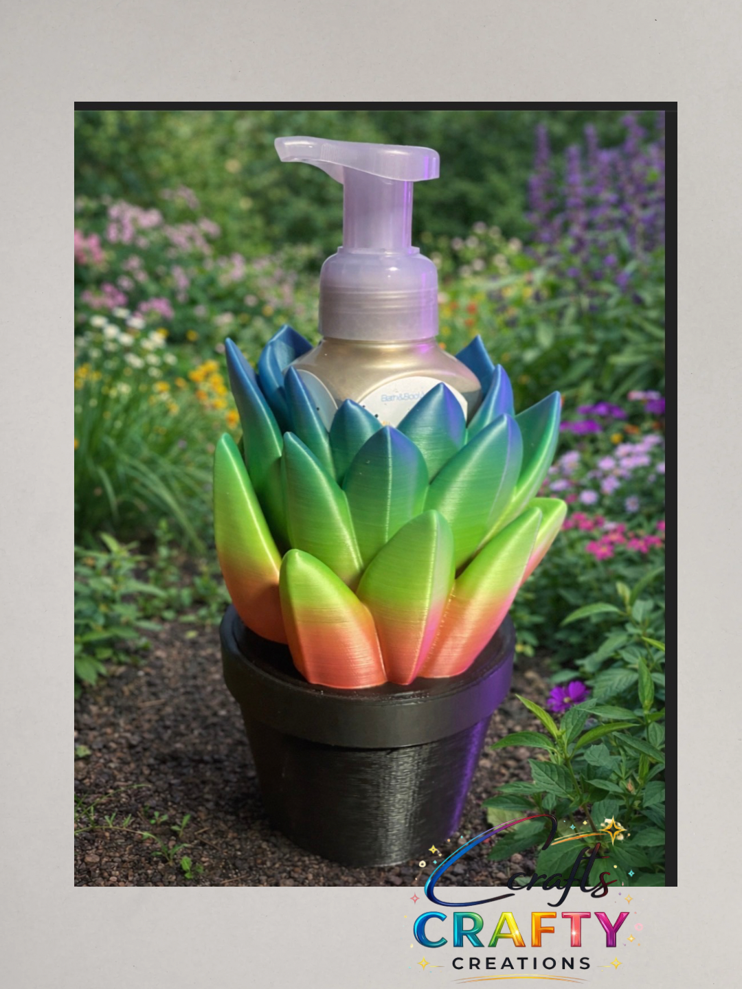 Succulent in rainbow