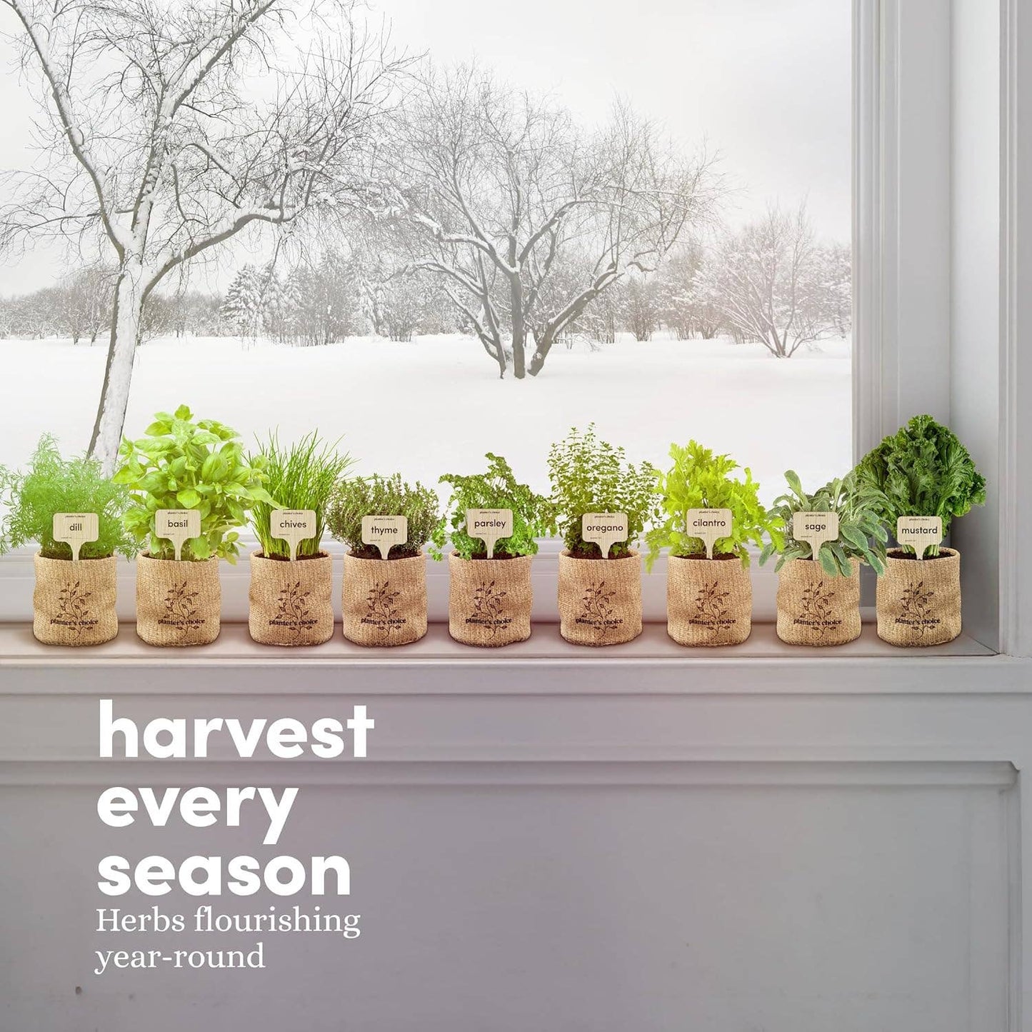 9 Herb Window Garden