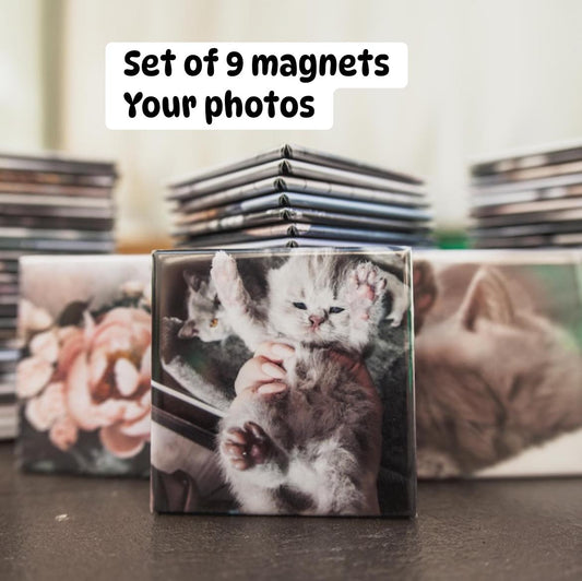 9 piece Magnet set